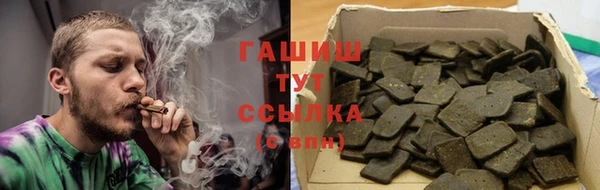 тгк Каменка