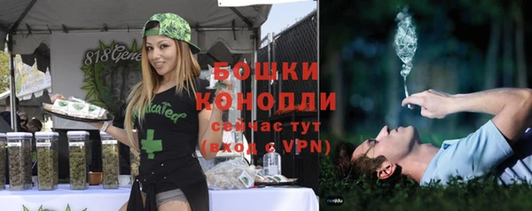 a pvp Гусев