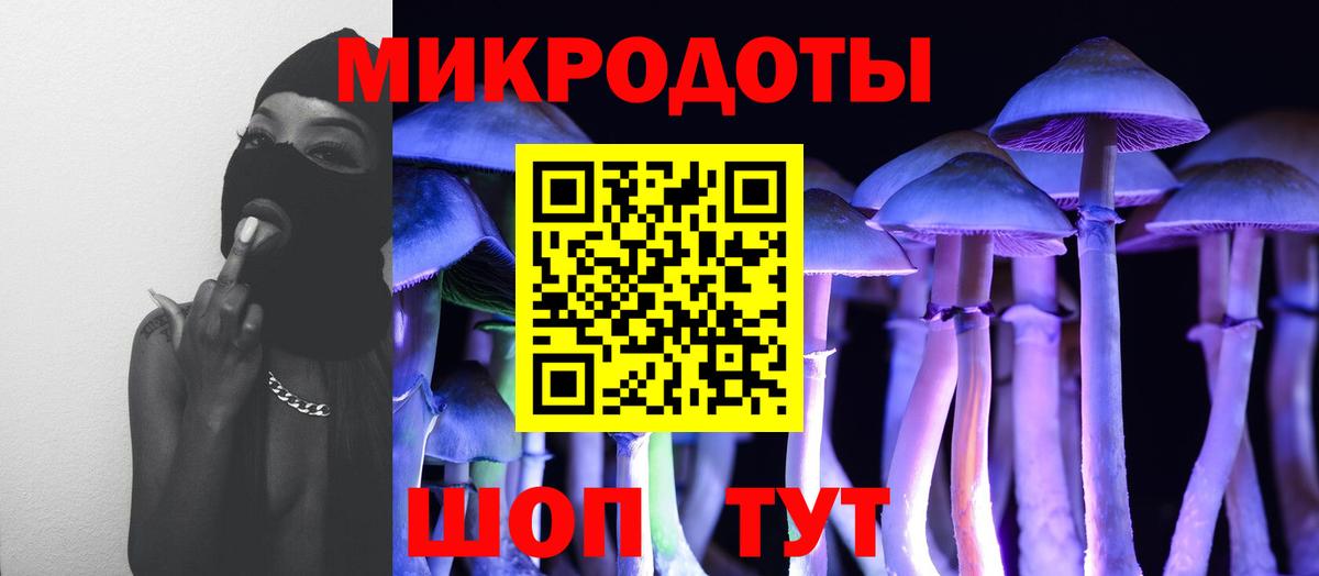 Галлюциногенные грибы прущие грибы Борисоглебск